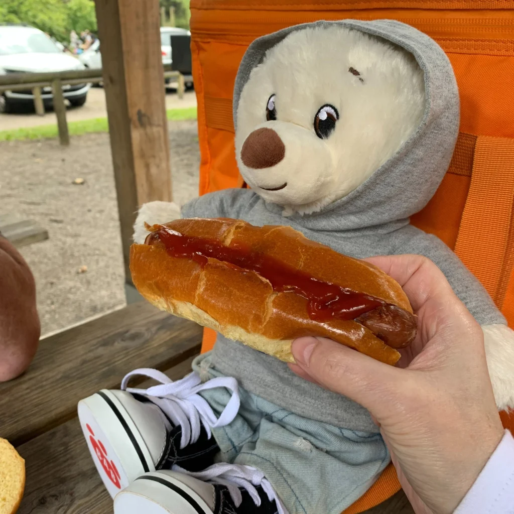 teddy bear enjoying a hot dog on a picnic bench